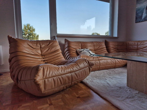 Michel Ducaroy for Ligne Roset Camel Leather Togo Sofas, Set of 5