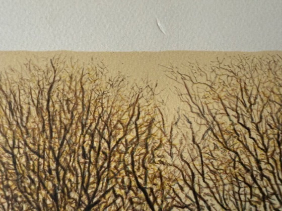 Image 1 of Litografia di Harold Altman