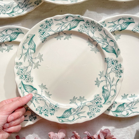 Set di 6 Piatti Piani Antichi in Ironstone "Lilac" - Longchamp, XIX Secolo – Stoviglie, Vintage (photo 3 of 9)