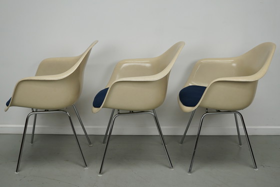 Image 1 of Ensemble de trois fauteuils DAX en fibre de verre parchemin Eames pour Herman Miller / Vitra