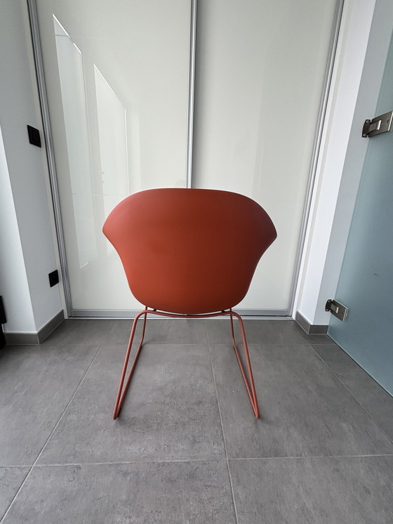 Image 1 of Kristalia Olifant stoel wit of terracotta