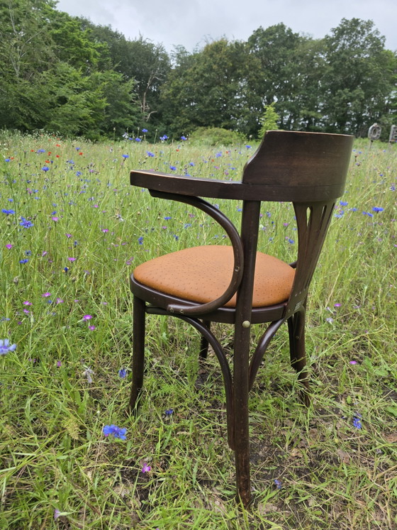 Image 1 of Chaise de café Satellite de style Thonet avec structure en autruche
