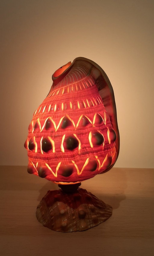 Cameo shell shade. Schelp tafellamp jaren 20/30