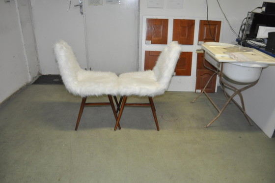 Set of Erika Side Chairs by Judit Burián for SZKIV, 1959, White, Mid Century Modern (photo 3 of 9)