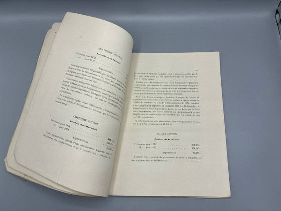 Report on the Budget of 1873 – Municipal Council of the City of Lyon – Mr. Despeignes, Rapporteur – Art Prints (photo 5 of 5)