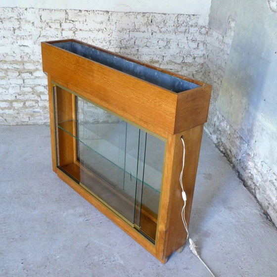 Verlichte plantenbak vitrine uit de jaren 50 – Glas, Vintage (photo 13 of 13)