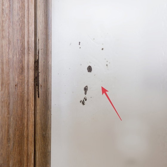 Image 1 of Paar rechteckige Wandspiegel mit rustikalen Holzrahmen