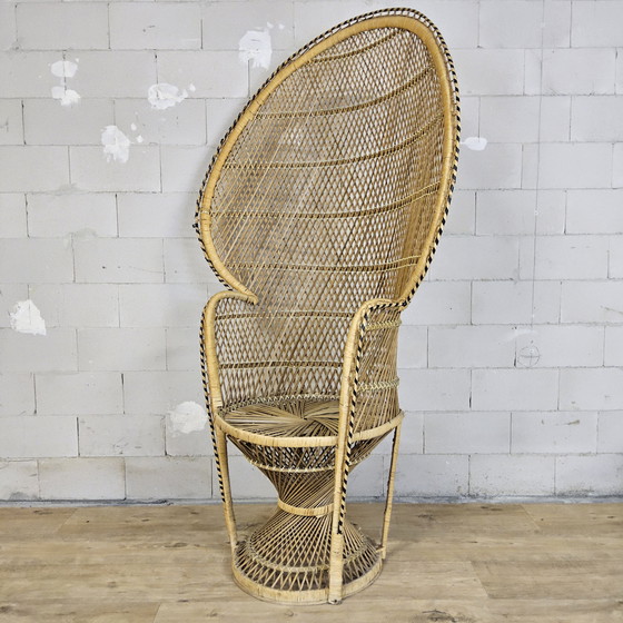 Image 1 of Vintage Rotan Peacock chair Emmanuelle / Pauwen stoel (H150cm) 