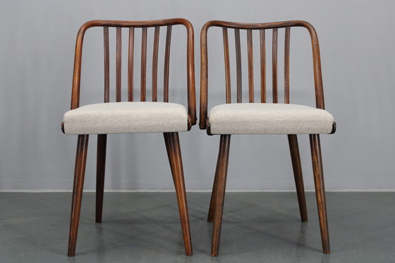 Image 1 of 1960 Antonin Suman Ensemble de six chaises de salle à manger en hêtre, restaurées