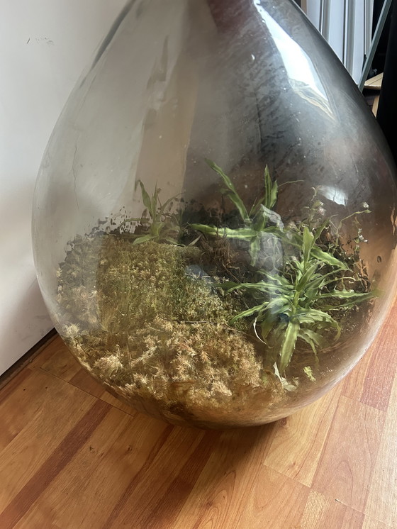 Image 1 of 🌿 Sprutje Big Brother-ecosysteem – tweedehands, goed werken! 🌿