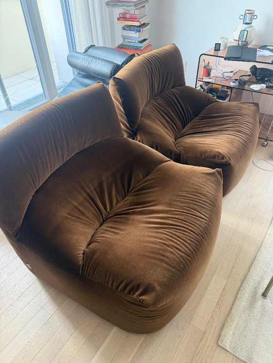 Image 1 of Poltrona Aralia di Ligne Roset, 1970