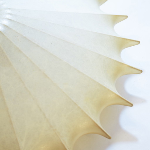 Cocoon Star Flush Ceiling Light Attributed to Friedel Wauer for Goldkant Leuchten, 1960s