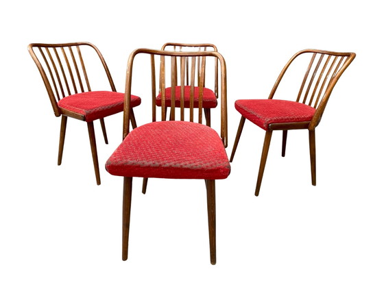 Image 1 of Antonín Šuman – Set of Chairs from the 1960s, Czechoslovakia