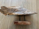 Einzigartige Treibholzskulptur, Objekt, Fisch auf einem Ständer