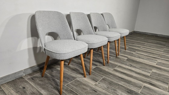 Image 1 of Esszimmerstühle von Oswald Haerdtl