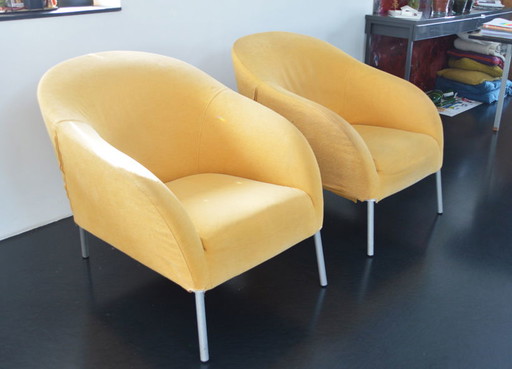 Molteni&C Birdy Sessel