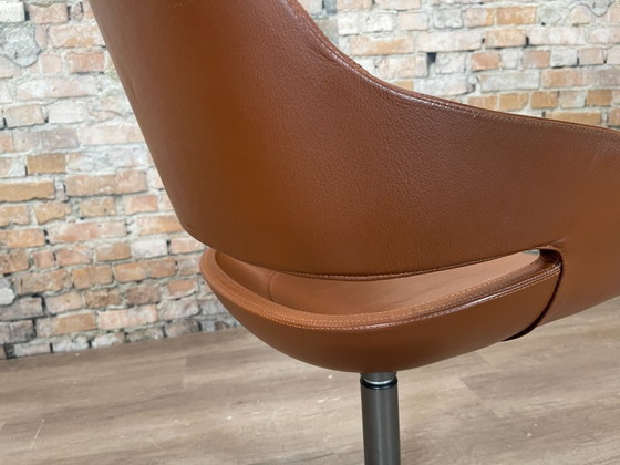 Image 1 of 6x Zanotta Eva