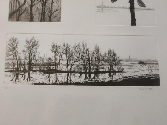 Image 1 of Ans van der Zweep-Heijmen Etching compilation - Cormorants in the Gelderland landscape