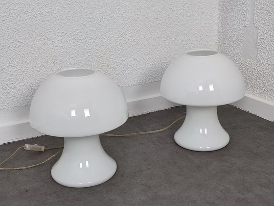 Image 1 of Set 1970S - s.e.c. France - mushrooms 