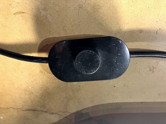 Image 1 of Walnuss T Achille Castiglioni - FLOS