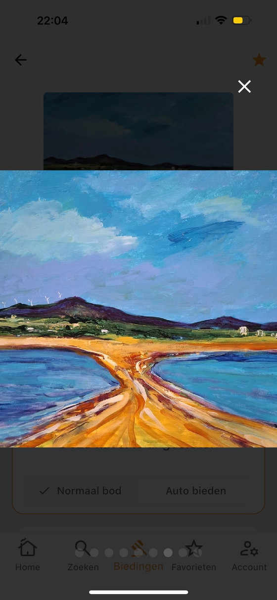 Image 1 of Bekanntes Werk von Maya Wildevuur aus dem Jahr 2008 „La Franqui“, Acryl, 70 x 90 cm