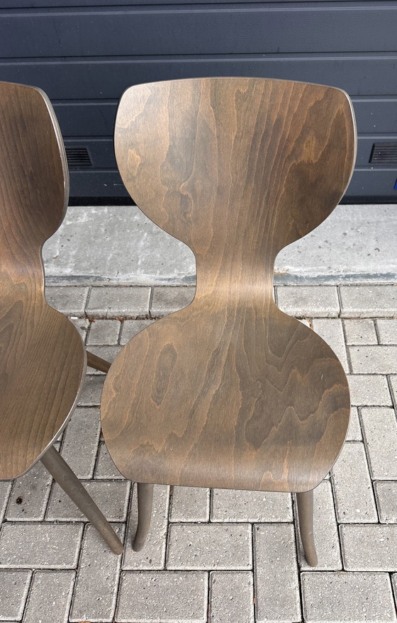 Image 1 of 2x chaises design Linteloo Tulipani