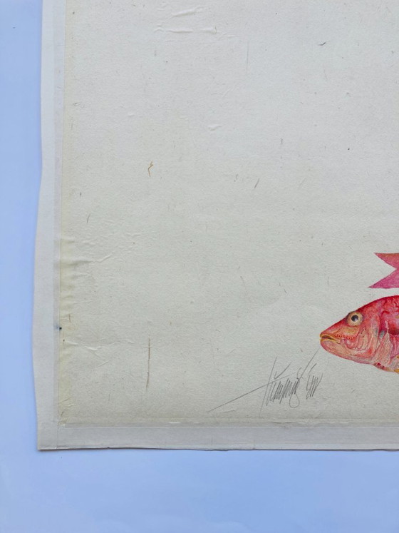 Image 1 of Poisson aquarelle vintage - Vivaneau rouge