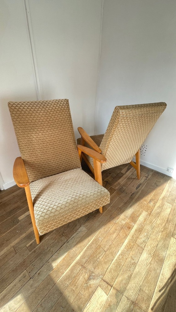 Image 1 of Vintage Armchairs by MANUCERE France