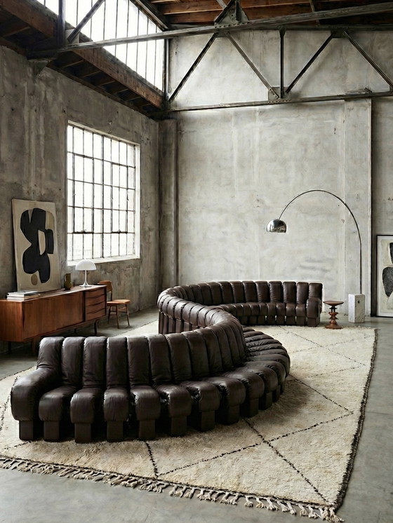 Image 1 of Divano modulare De Sede DS-600 “Tatzelwurm” / “Snake” in pelle marrone scuro “Cigarro” 30 elementi