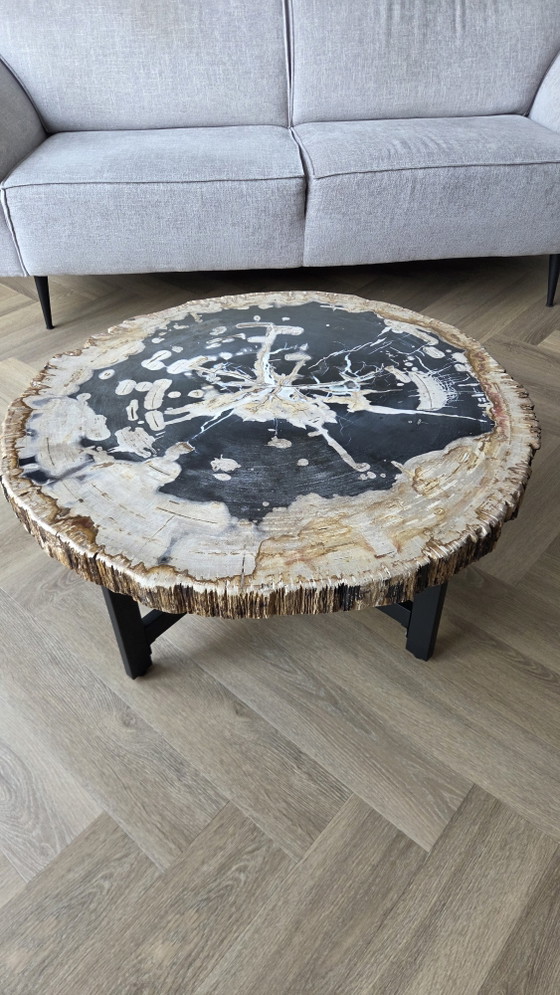Versteinerter Baumstamm Couchtisch!!! – Couchtische, Metal, Stone (photo 3 of 8)