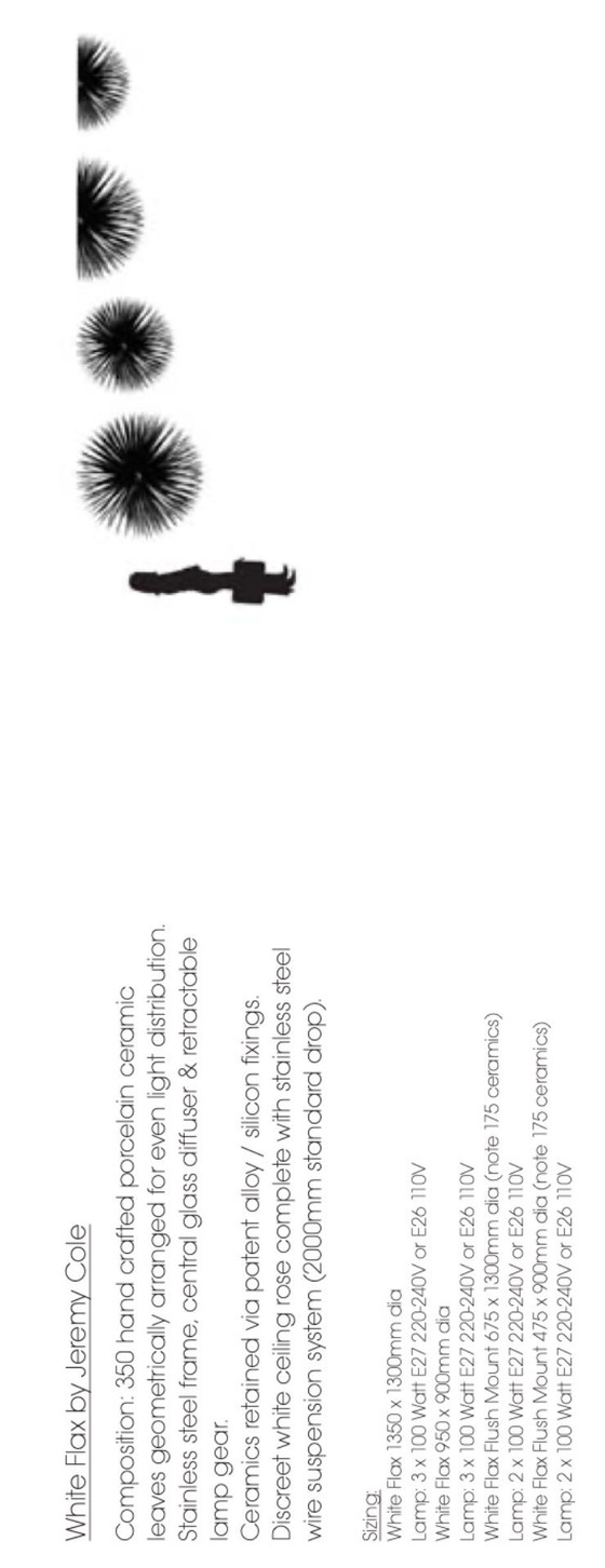 Image 1 of Jermy Cole kroonluchter "White flax FLUSH MOUNT"