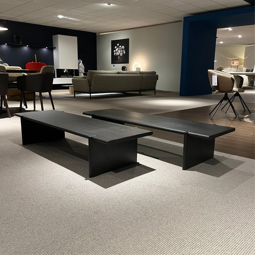 Leolux Nunos salontafel (set van 2)