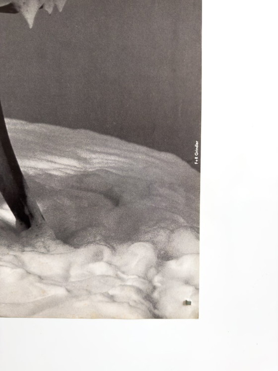 Image 1 of 🐟 Der Fisch – 1968 – Originalplakat von F+R Grindler für das Tübinger Zimmertheater | 84 × 59 cm | Westdeutschland