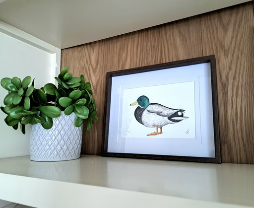 Acuarela de un pato | Marco marrón oscuro - Estilo vintage