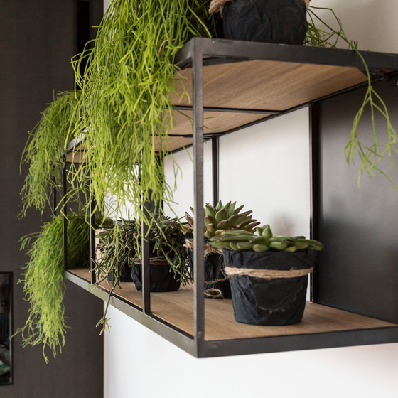 Image 1 of Portaoggetti da parete Castle Line Oak Natural