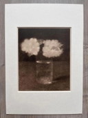 Jan Mankes 1889-1920 / Originele Heliogravure Glas met Appelbloesem 1923