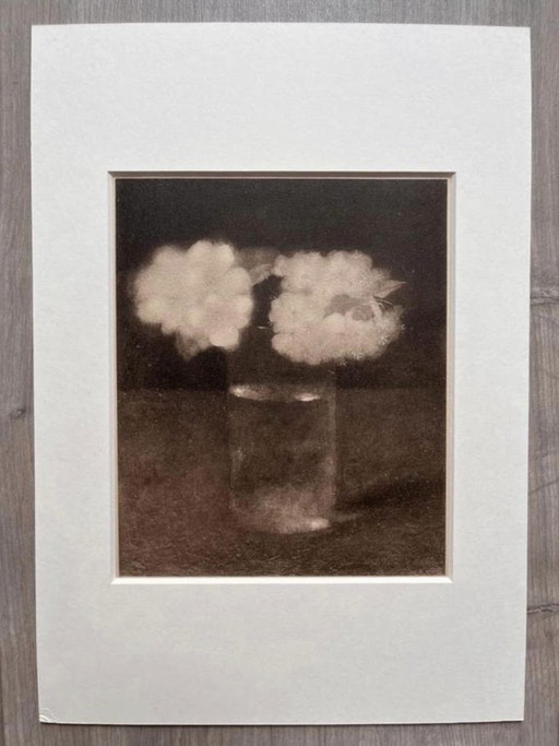 Jan Mankes 1889-1920 / Verre héliogravure original à motif de fleurs de pommier, 1923
