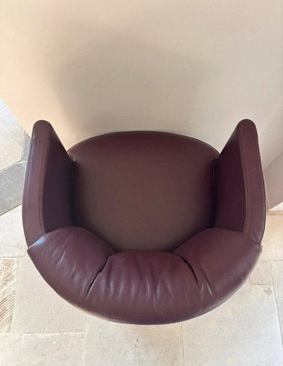 Image 1 of Sedie Bordeaux di Rolf Benz