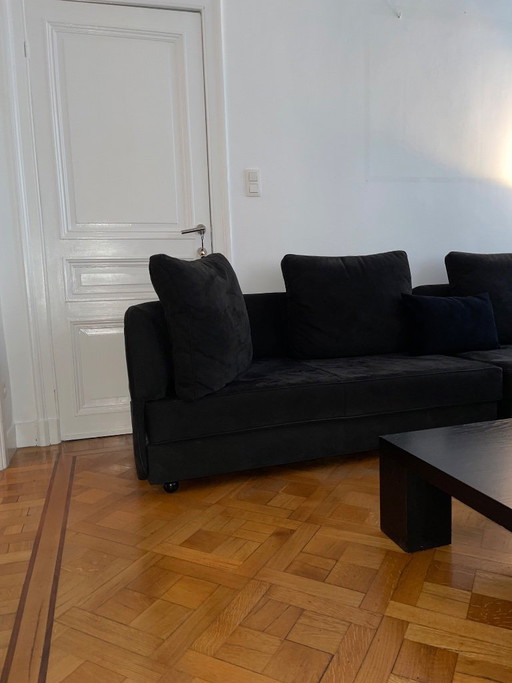 Ligne Roset Sofa