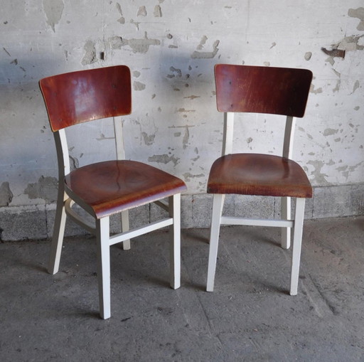 Set von Kiefernholz Esszimmerstühle, 1950er Jahre