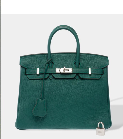 Sac HERMES Birkin 25 en Cuir Vert - 103291