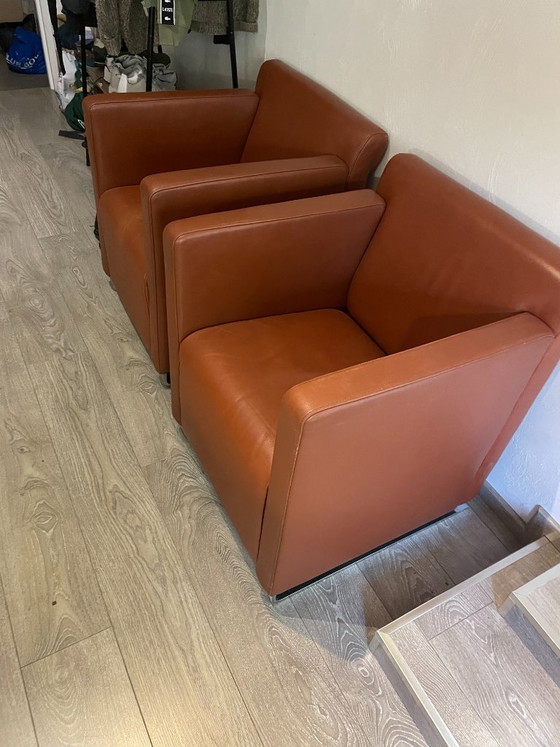 Leren fauteuils – COR, Leer (photo 4 of 5)
