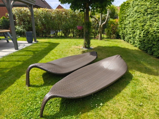 Poltrona da giardino DEDON Leaf