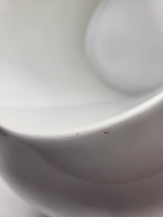 Image 1 of Revistero Ovo Stamp Branex France