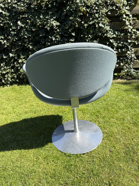 Image 1 of Little tulip Artifort (grey)