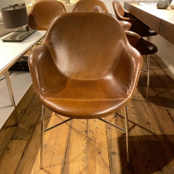 Image 1 of Moroso Tia Maria dining chair (set of 6)