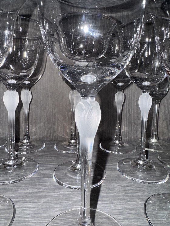 Image 1 of Verres à vin et à champagne en cristal Hoya crocus