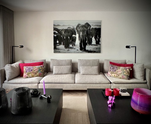 Photo d'éléphant sur verre 160 x 110