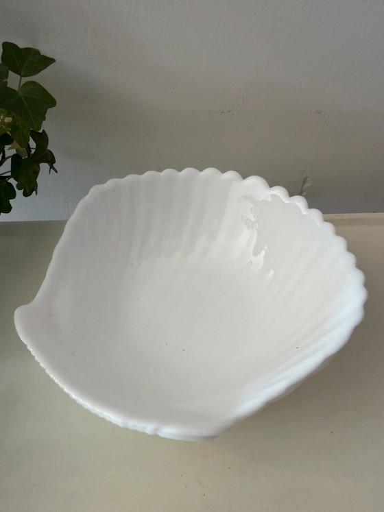 Zwei Muschelschalen (photo 4 of 5)