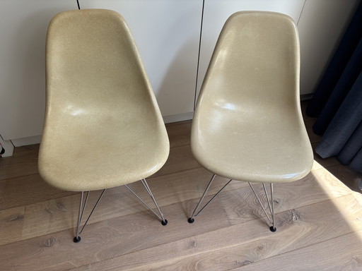 2x sedie laterali Eames Miller Vitra DSR glasvezel – pergamena